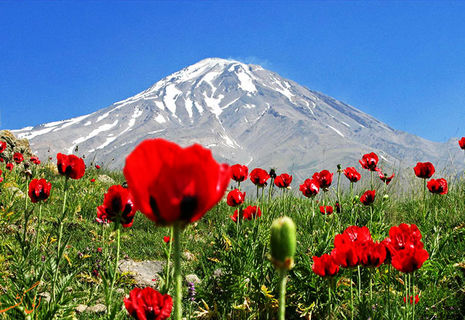تا پای جان، برای ایران!