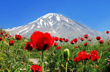 تا پای جان، برای ایران!