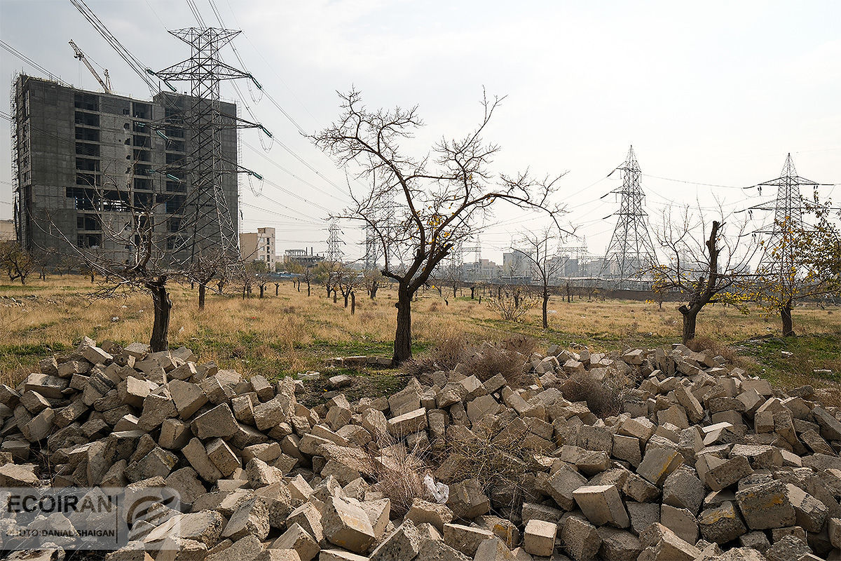 زمین‌خواری و دروغ‌نامه مسکن در دوازده گزاره