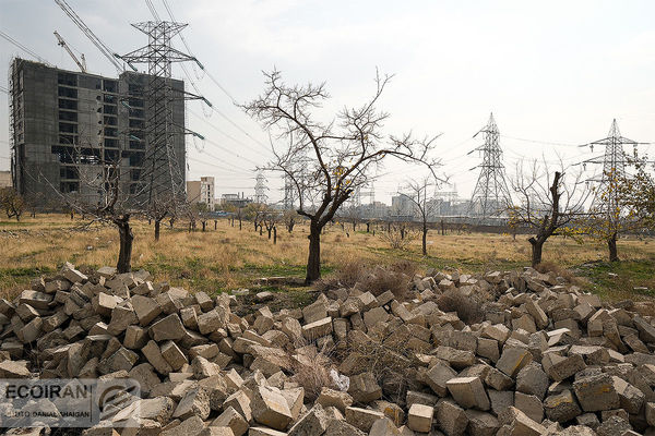 زمین‌خواری و دروغ‌نامه مسکن در دوازده گزاره