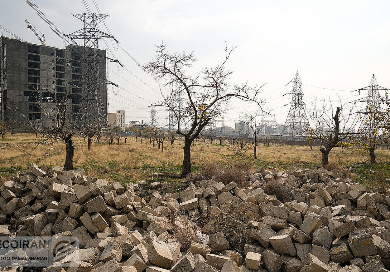 زمین‌خواری و دروغ‌نامه مسکن در دوازده گزاره