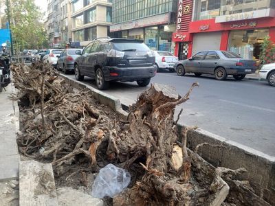 فروپاشی خیابان فلسطین؛ تاریخ عریان تهران