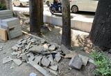 طرح بازسازی جوی خیابان ولیعصر میراث چنارستان را تهدید می‌کند